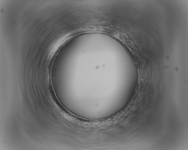 X0000072980005200608111753