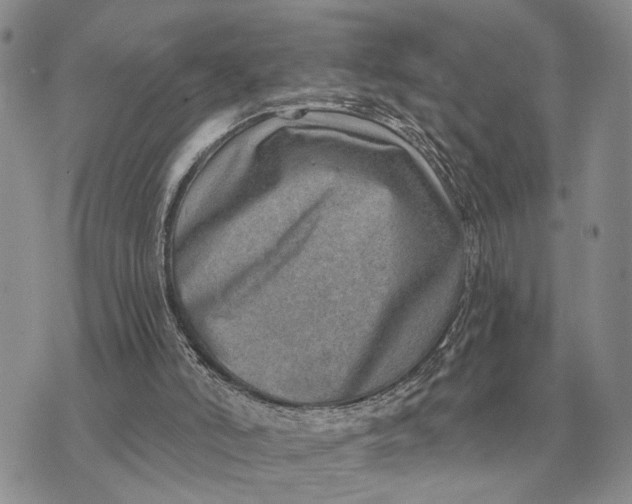 X0000072980006200608111753