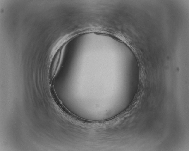 X0000072980007200608111753