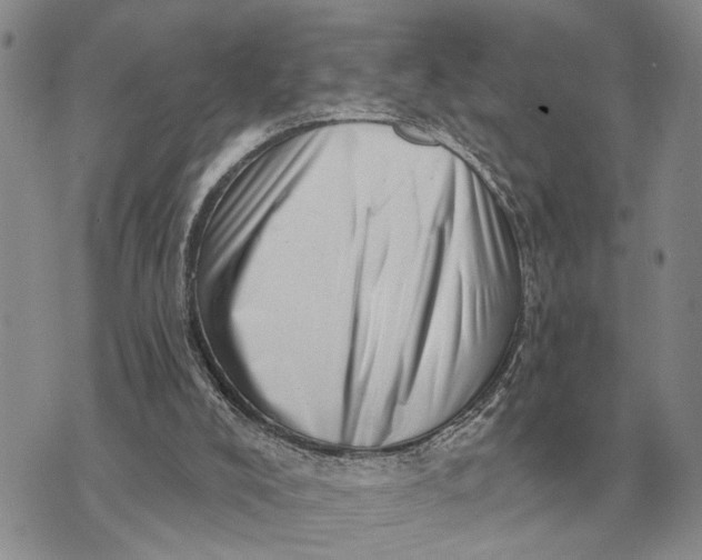 X0000072980008200608111753