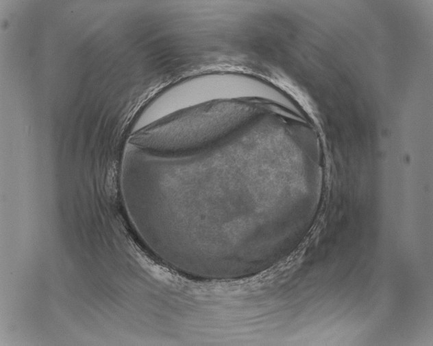 X0000072980009200608111753