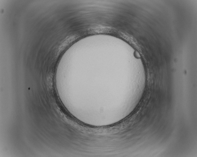 X0000072980010200608111753