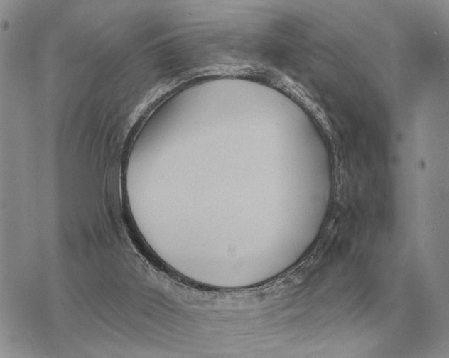 X0000072980011200608111753