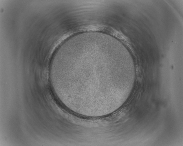 X0000072980012200608111753