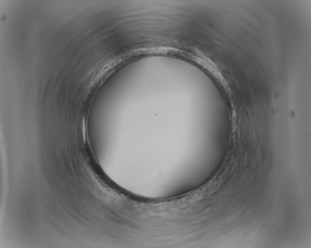 X0000072980013200608111753