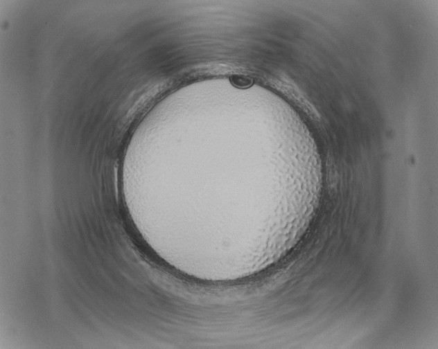 X0000072980014200608111753