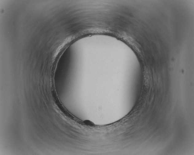 X0000072980015200608111753