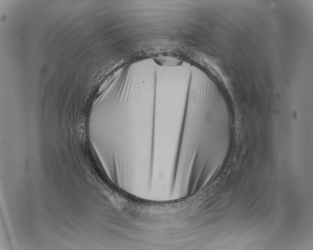 X0000072980017200608111753