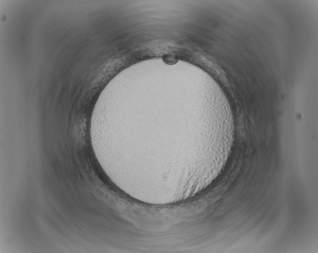 X0000072980018200608111753