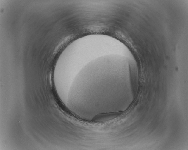 X0000072980019200608111753