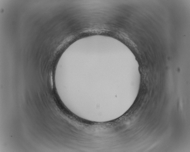 X0000072980020200608111753