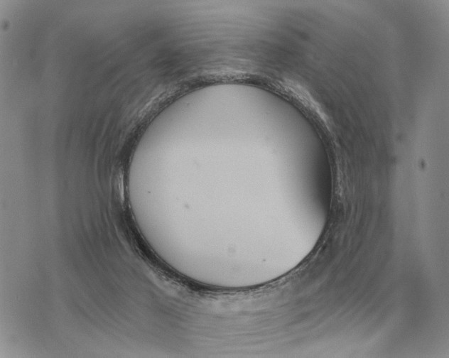 X0000072980021200608111753