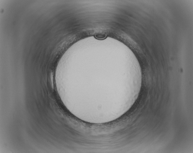 X0000072980022200608111753