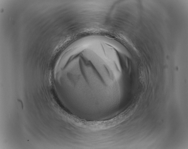 X0000072980023200608111752