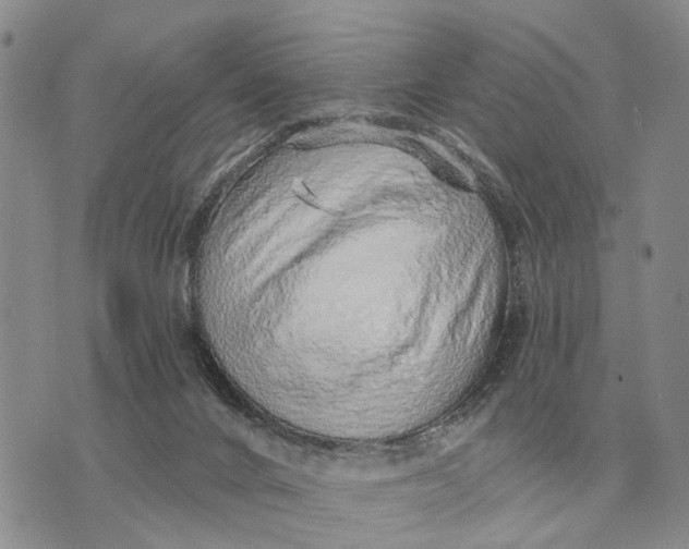 X0000072980024200608111752