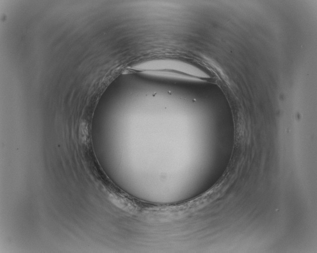 X0000072980025200608111752