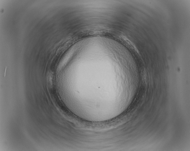 X0000072980026200608111752