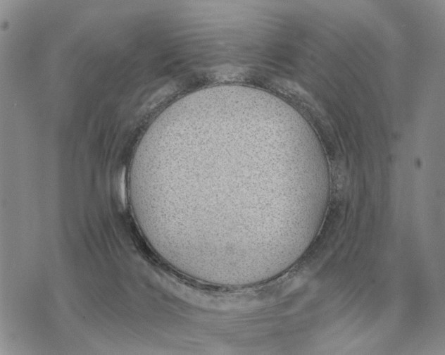 X0000072980028200608111752