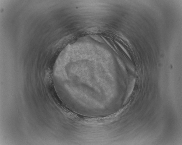 X0000072980029200608111752