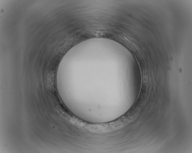 X0000072980030200608111752