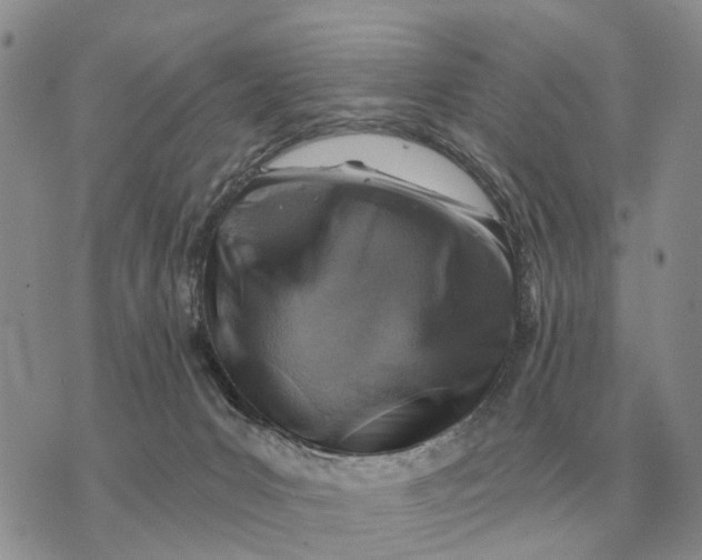 X0000072980031200608111752