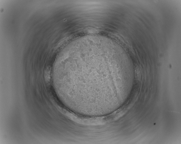 X0000072980032200608111752