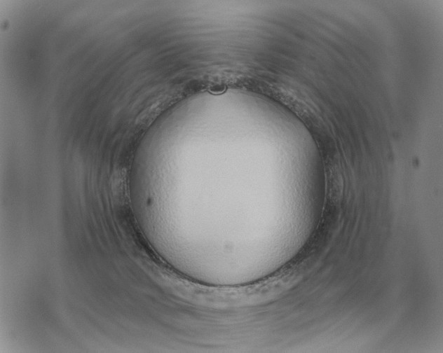 X0000072980034200608111752