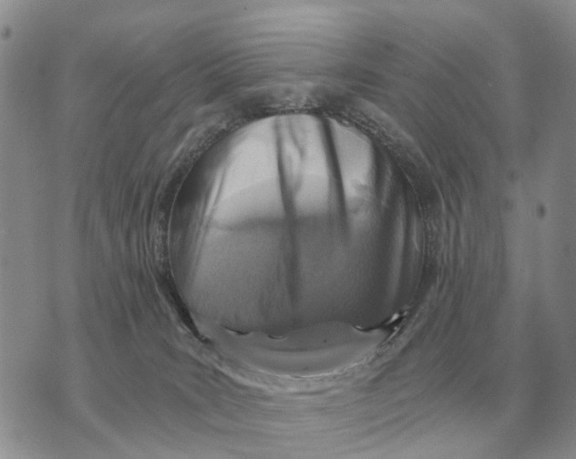 X0000072980035200608111752