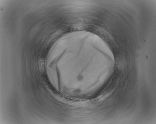 X0000072980036200608111752