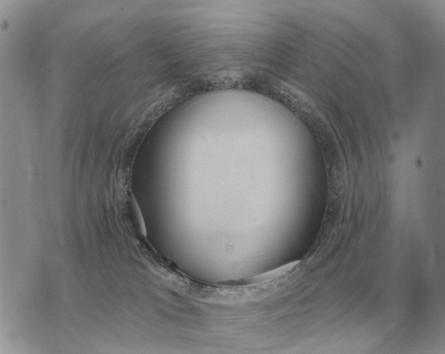 X0000072980037200608111752