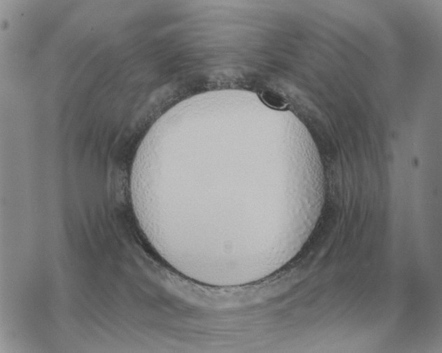 X0000072980038200608111752