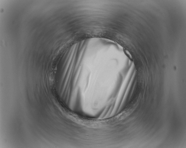 X0000072980040200608111752