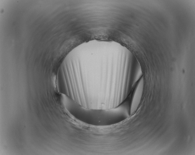 X0000072980041200608111752