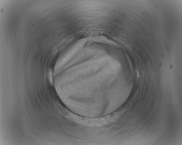 X0000072980042200608111752