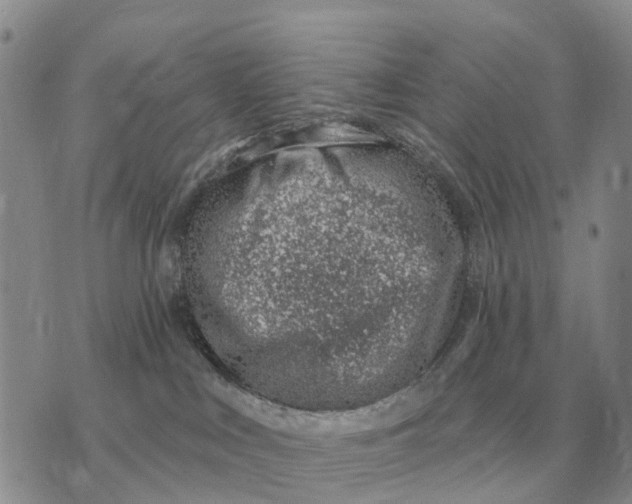 X0000072980043200608111752