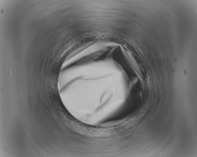 X0000072980044200608111752