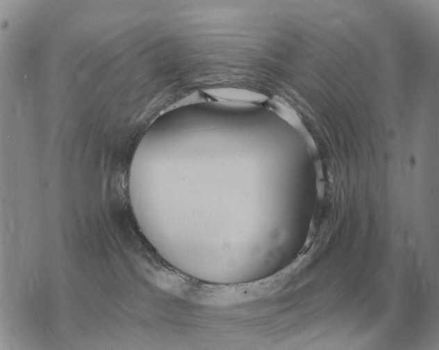 X0000072980045200608111752