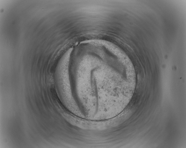 X0000072980048200608111752