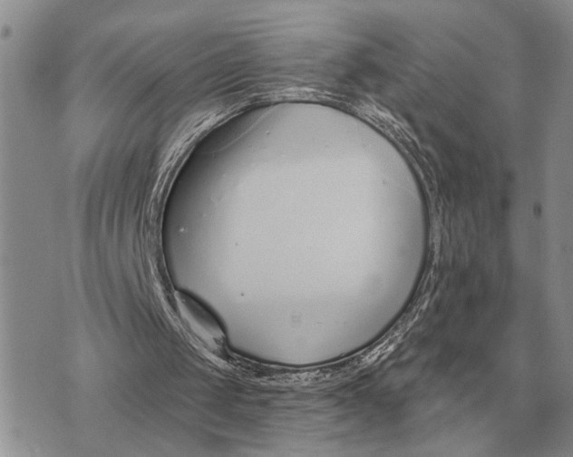 X0000072980049200608111751