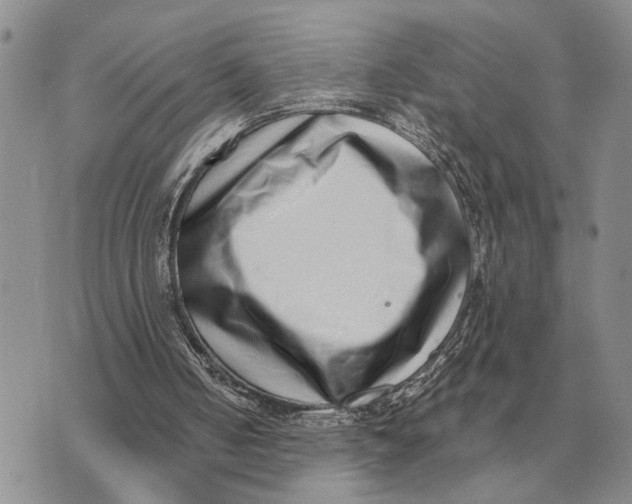 X0000072980050200608111751