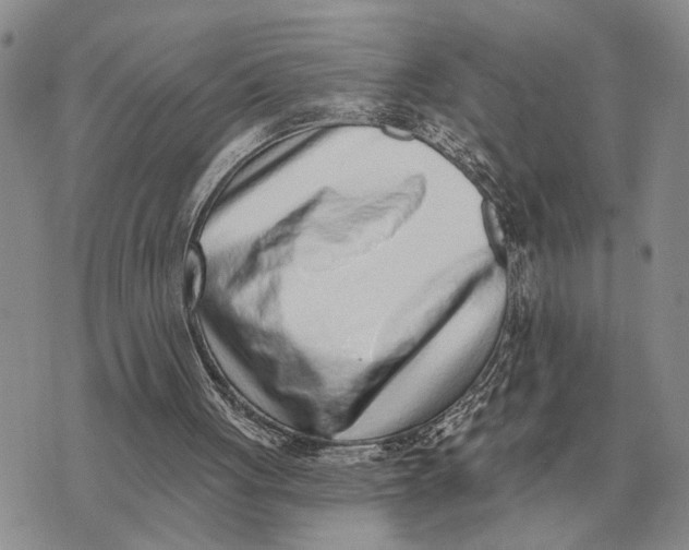 X0000072980051200608111751