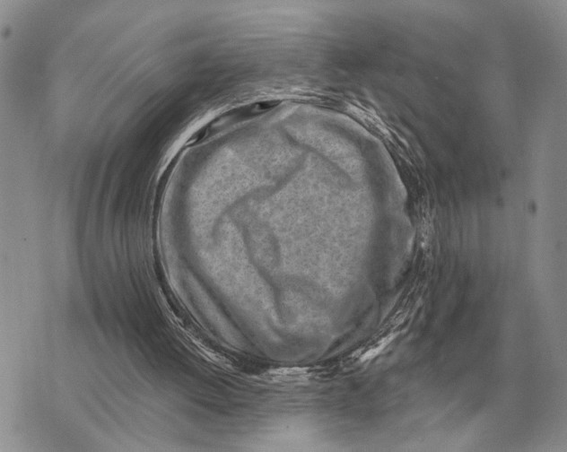 X0000072980052200608111751