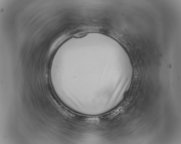 X0000072980053200608111751