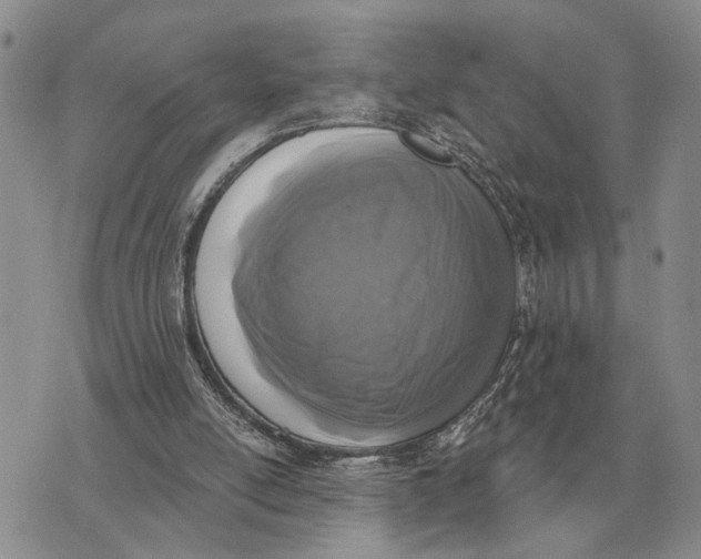 X0000072980054200608111751