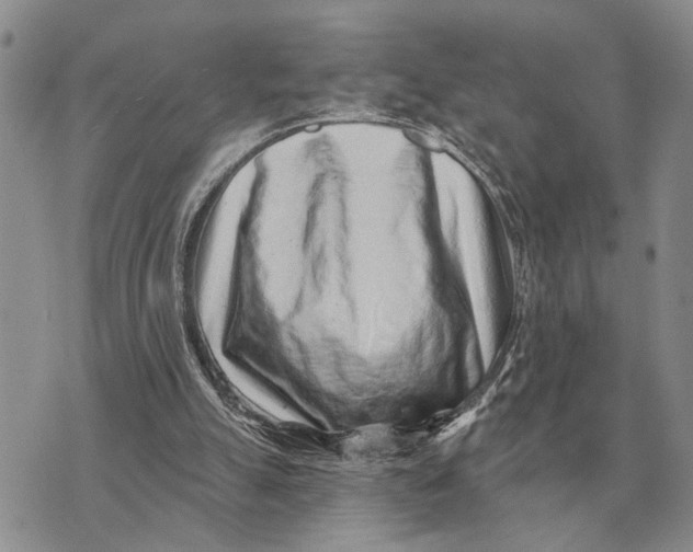 X0000072980055200608111751