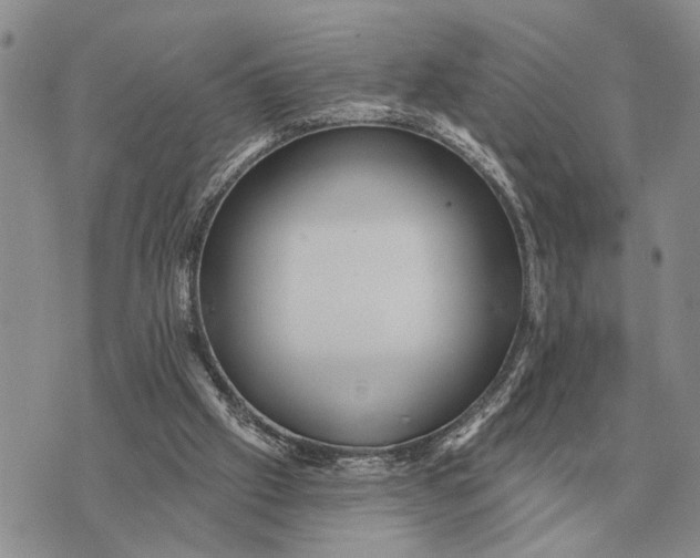 X0000072980057200608111751