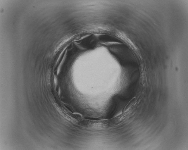 X0000072980058200608111751