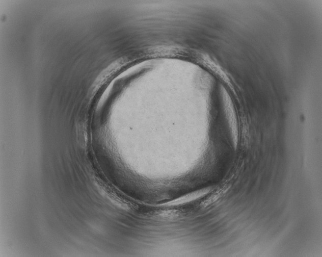 X0000072980059200608111751