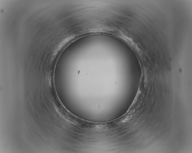 X0000072980060200608111751