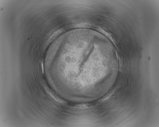 X0000072980061200608111751